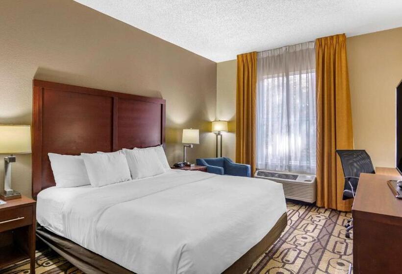 Отель Comfort Inn & Suites