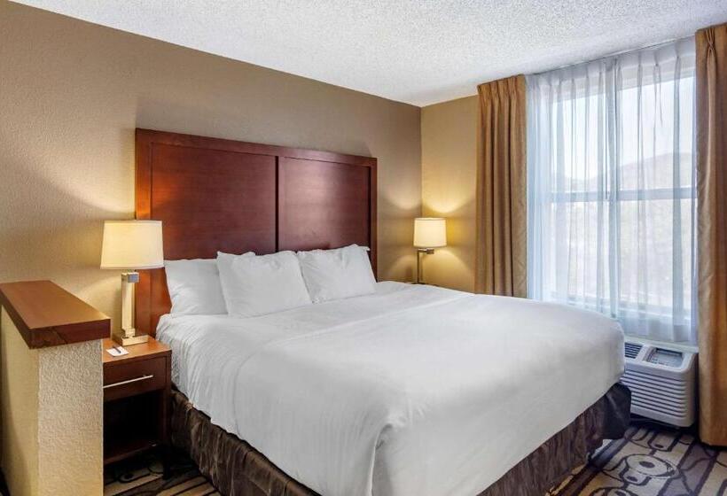 Отель Comfort Inn & Suites