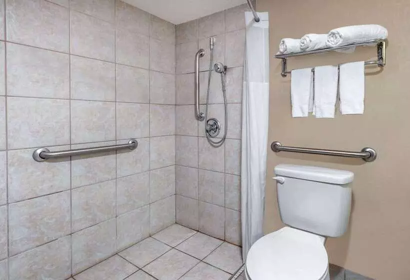 Отель Days Inn By Wyndham Albion