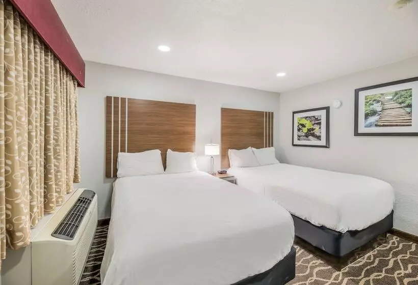 Отель Rodeway Inn Carlsbad Caverns Area