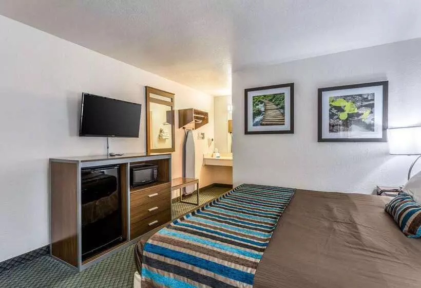 Отель Rodeway Inn Carlsbad Caverns Area