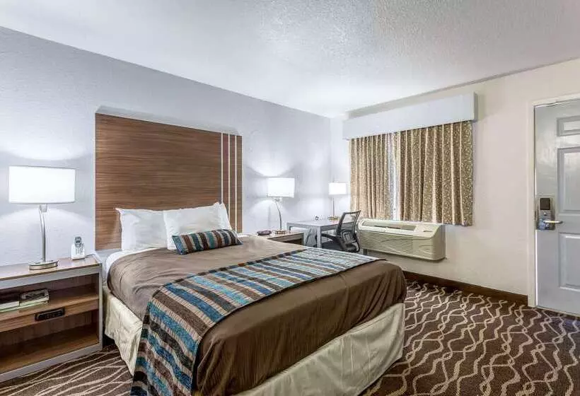 Отель Rodeway Inn Carlsbad Caverns Area