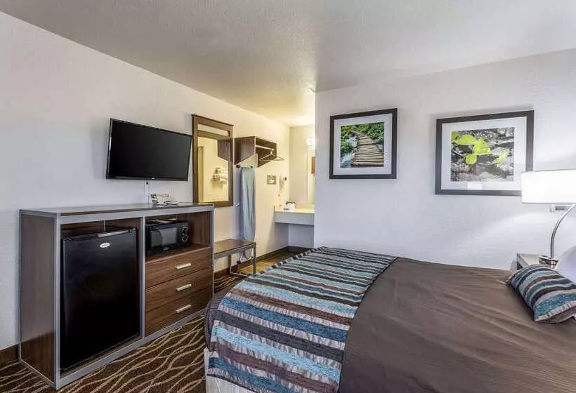 Отель Rodeway Inn Carlsbad Caverns Area