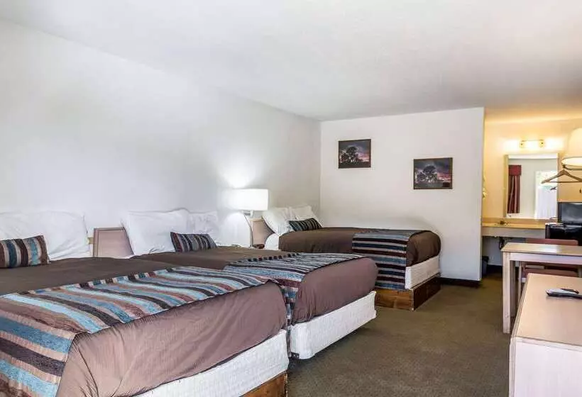 Отель Rodeway Inn Carlsbad Caverns Area