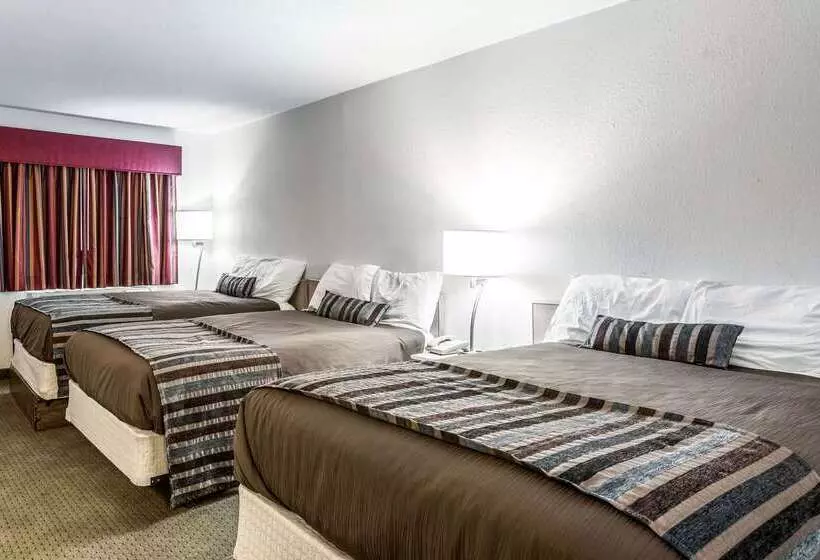 Отель Rodeway Inn Carlsbad Caverns Area