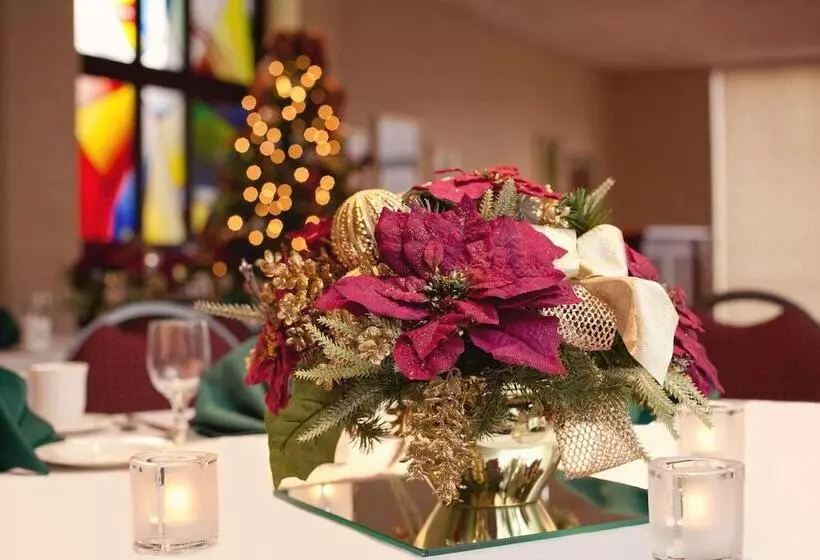 Radisson Hotel Corning