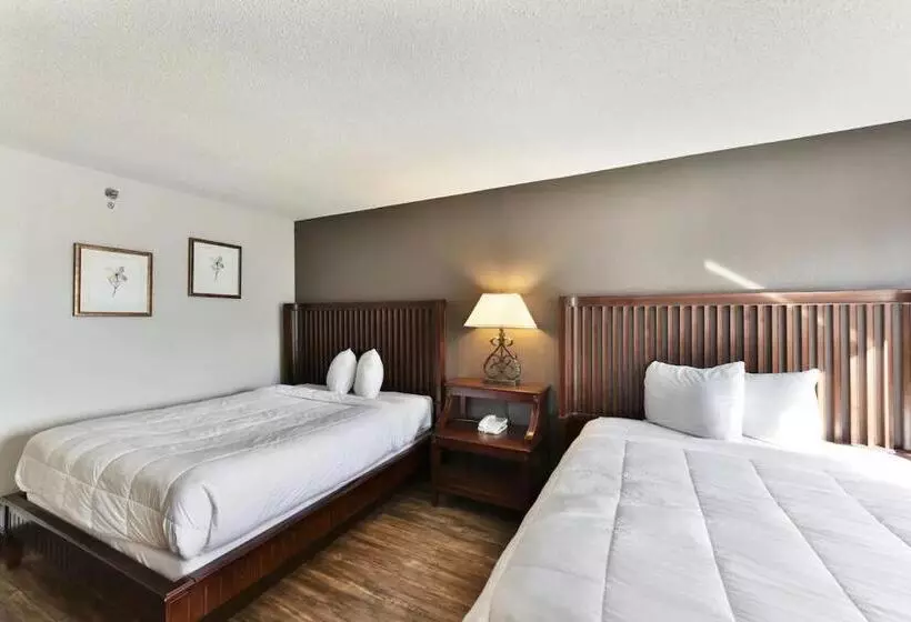 호텔 Baymont Inn And Suites By Wyndham Columbus / Near Osu