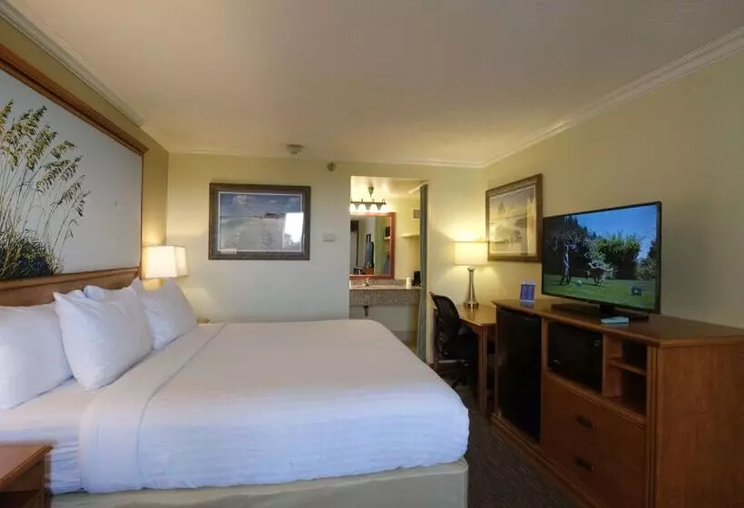 فندق Spark By Hilton Sarasota Siesta Key Gateway