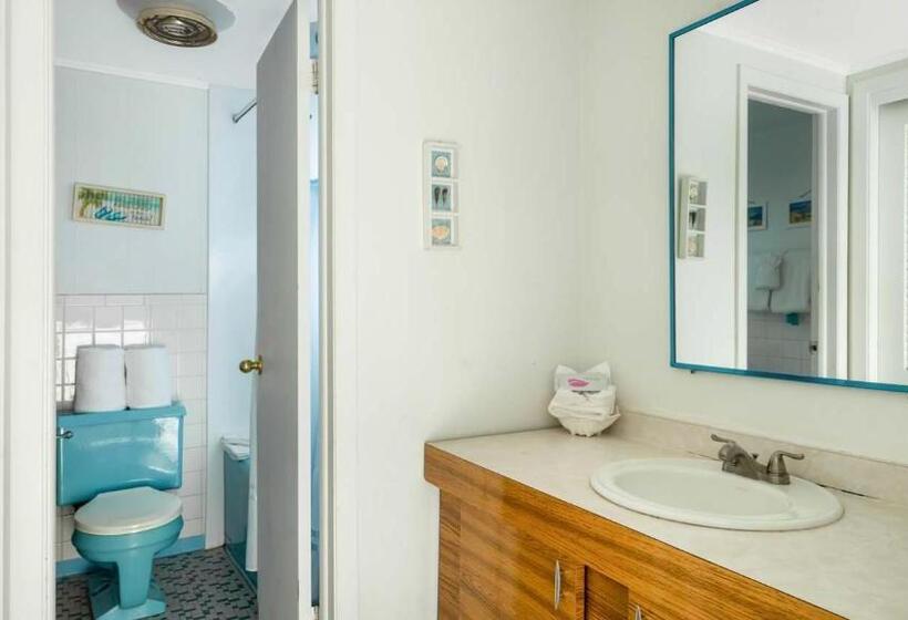 ホテル Driftwood Resort On The Ocean