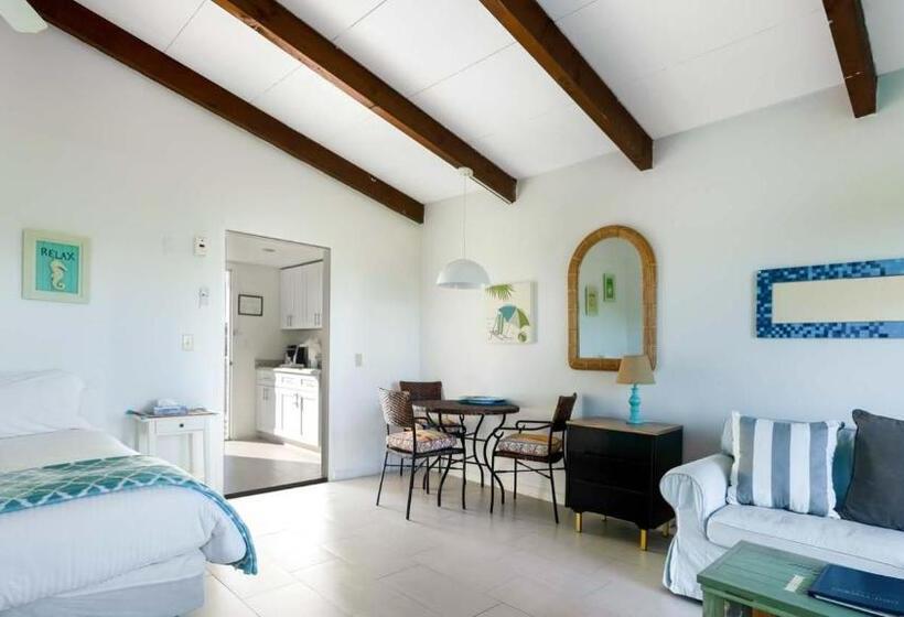 ホテル Driftwood Resort On The Ocean