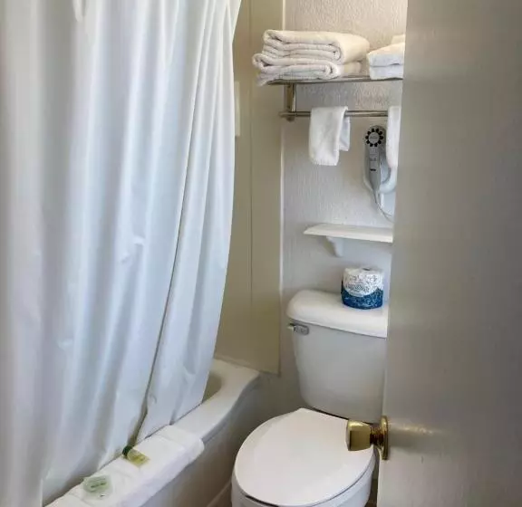 בית מלון כפרי Hills Inn