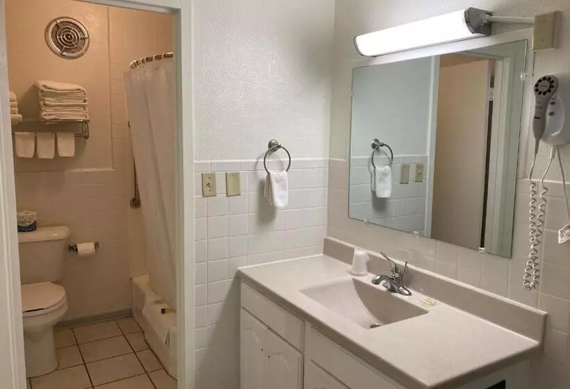 בית מלון כפרי Hills Inn