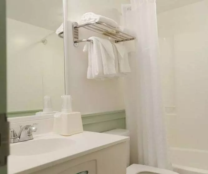 Отель Inns Of Virginia Arlington