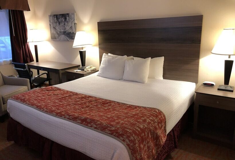 ホテル Mho Inn And Suites