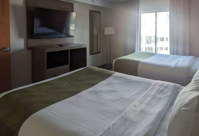 酒店 Quality Inn & Suites Northampton Amherst