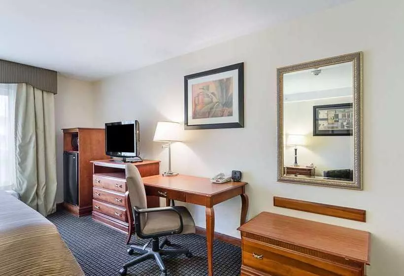 酒店 Quality Inn & Suites Northampton Amherst