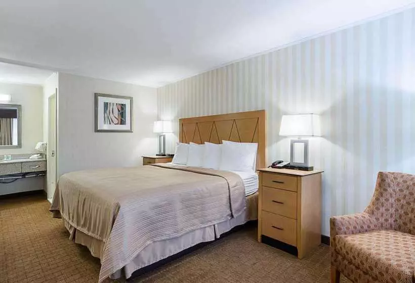 酒店 Quality Inn & Suites Northampton Amherst