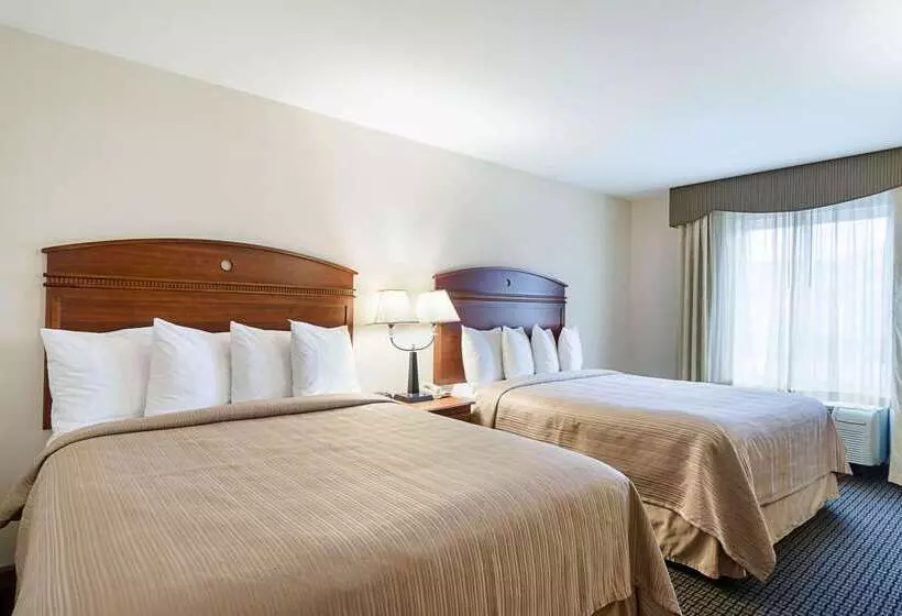 酒店 Quality Inn & Suites Northampton Amherst