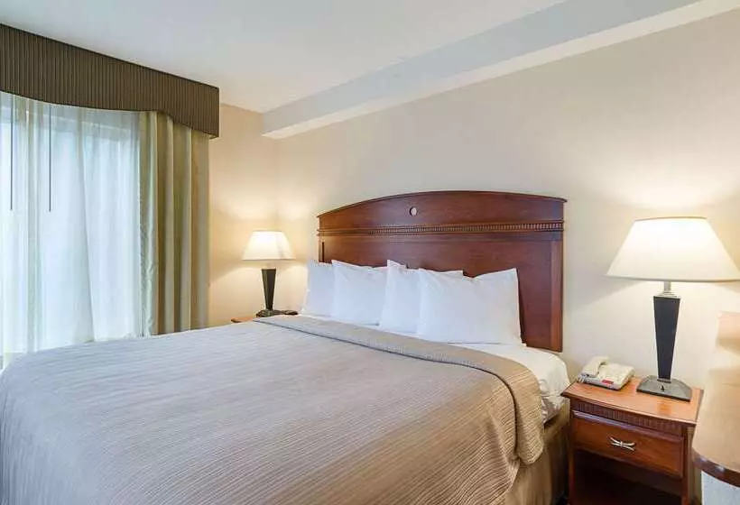 酒店 Quality Inn & Suites Northampton Amherst