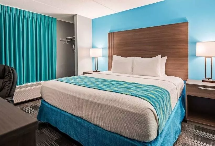 Surestay Hotel By Best Western Jacksonville South