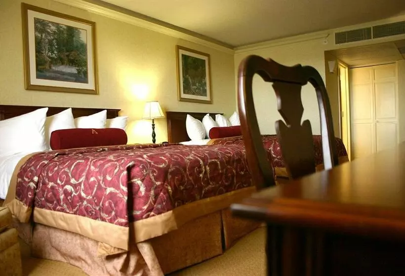 Otel Wyndham Garden Amarillo 