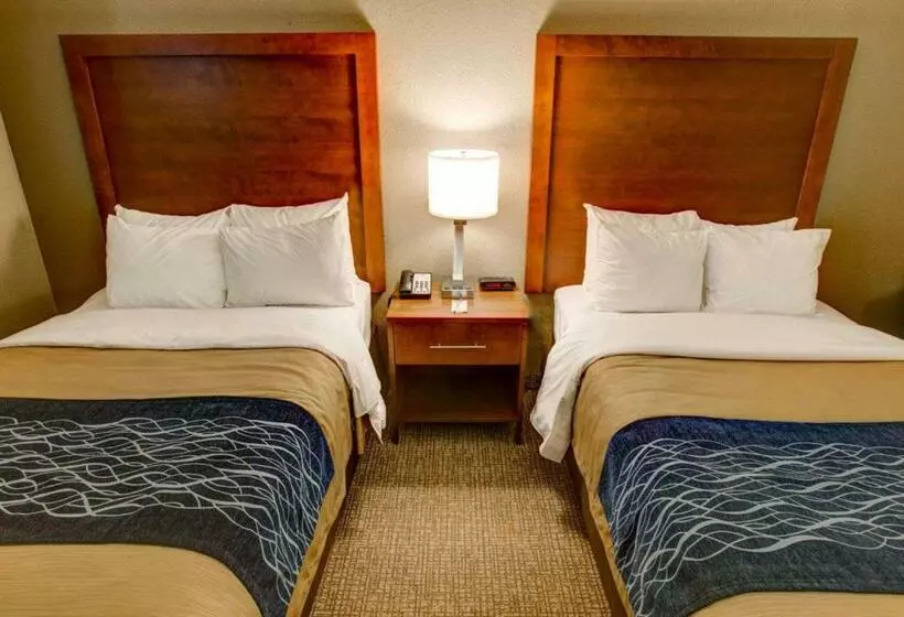 酒店 Comfort Inn Conference Center