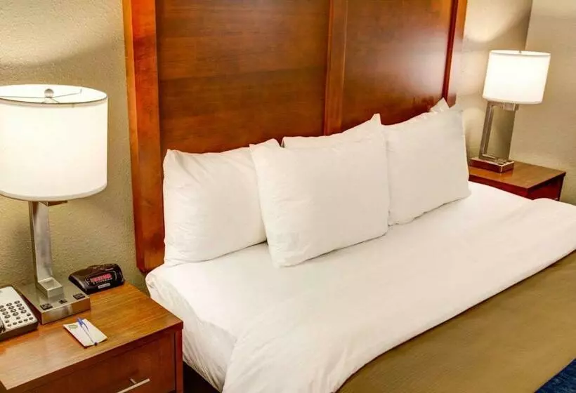 酒店 Comfort Inn Conference Center