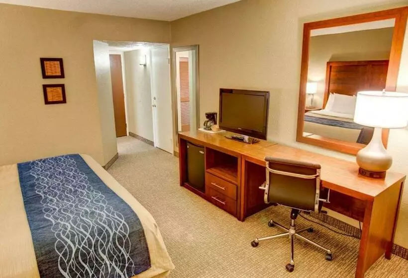酒店 Comfort Inn Conference Center