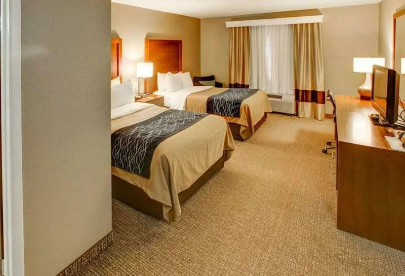 酒店 Comfort Inn Conference Center