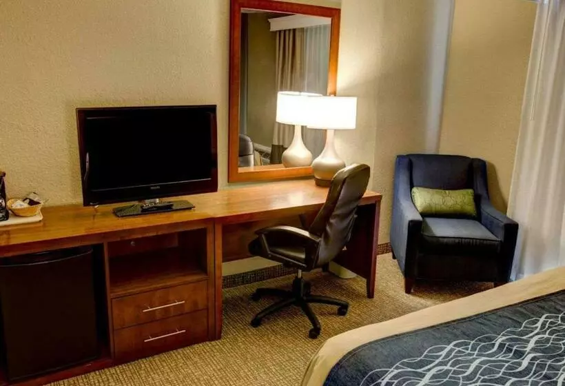 酒店 Comfort Inn Conference Center