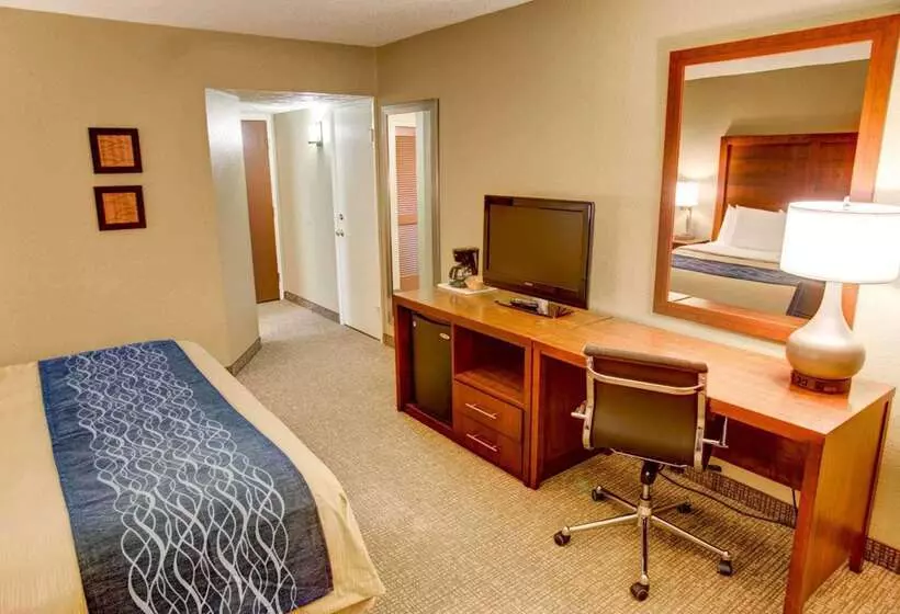 酒店 Comfort Inn Conference Center