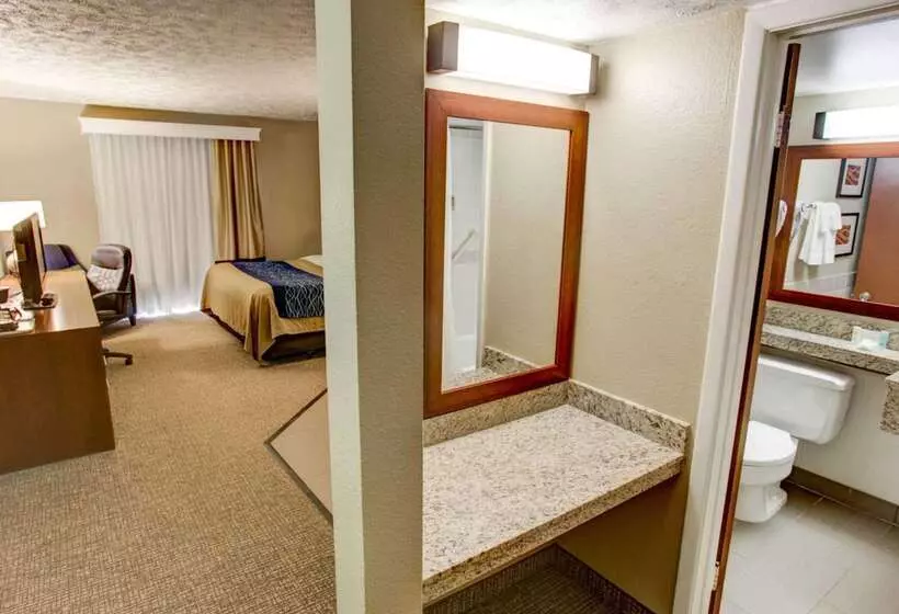 酒店 Comfort Inn Conference Center