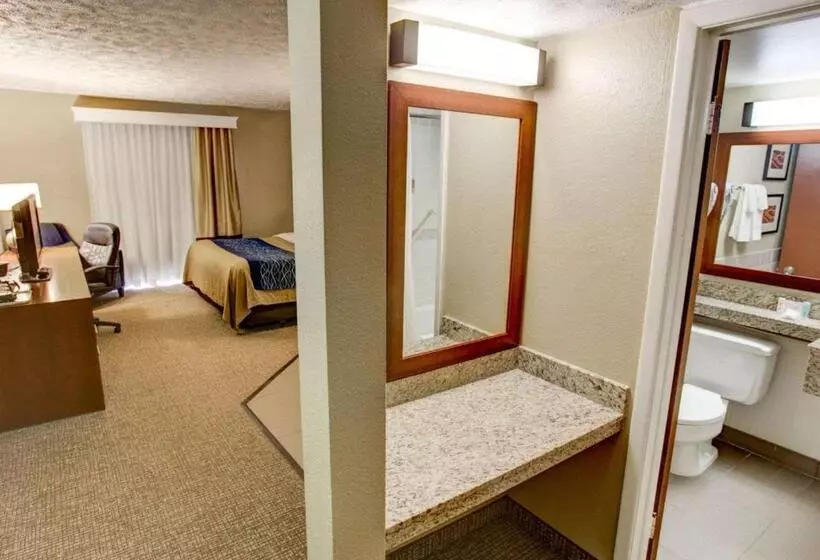 酒店 Comfort Inn Conference Center