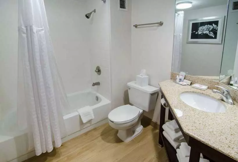 בית מלון כפרי Comfort Inn Raleigh Midtown