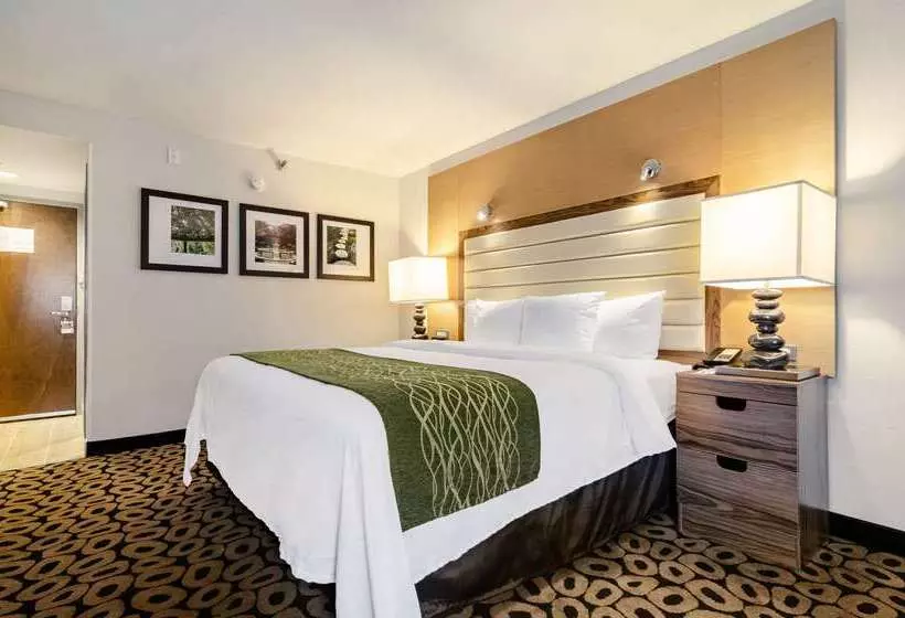 בית מלון כפרי Comfort Inn Raleigh Midtown
