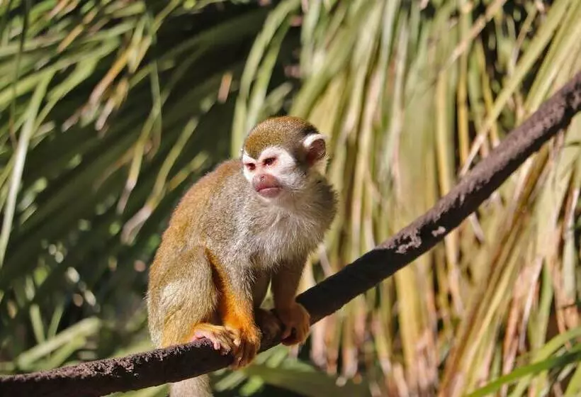 酒店 Crowne Plaza Phoenix Airport   Phx, An Ihg