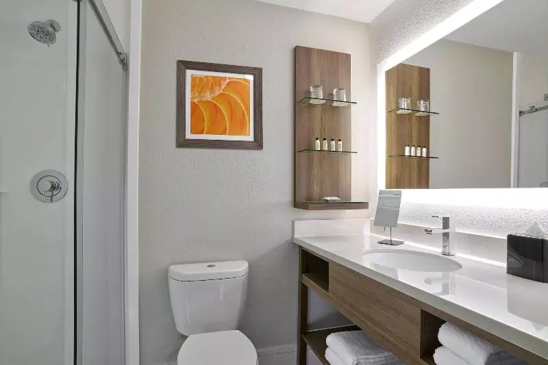 Delta Hotels By Marriott Chicago Willowbrook