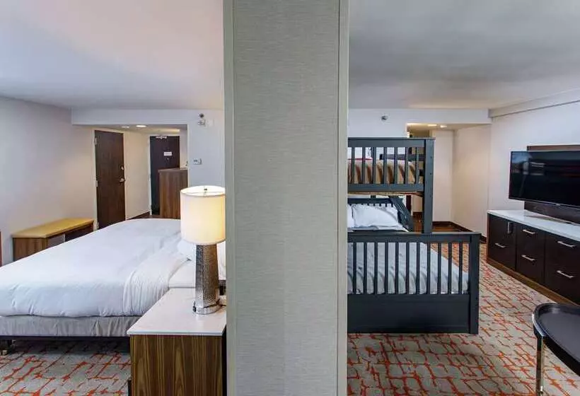 Hotelli Doubletree By Hilton Appleton