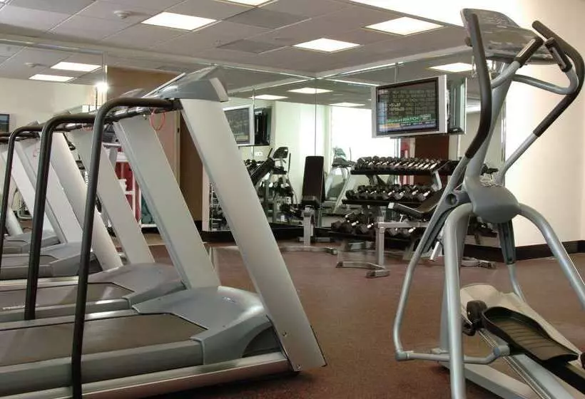 Hotel Galleryone Doubletree Hilton Gc Turtle Cove