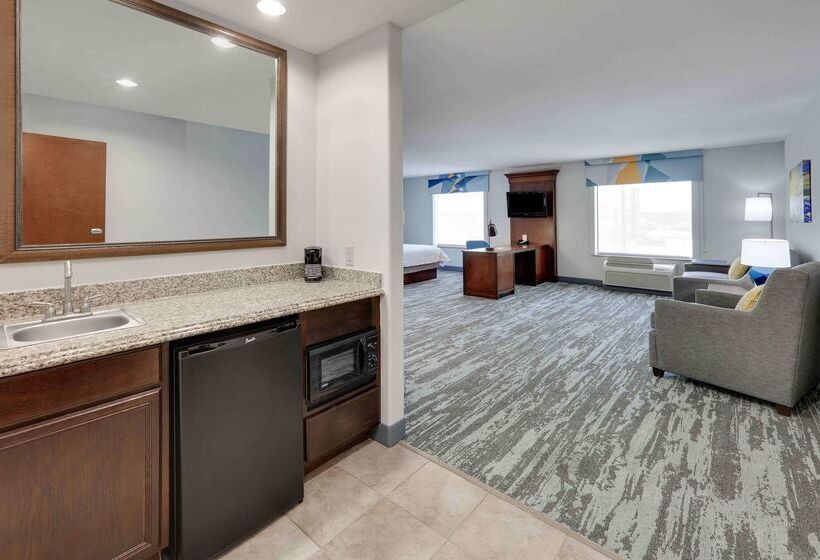 فندق Hampton Inn & Suites Dallasarlingtonsouth