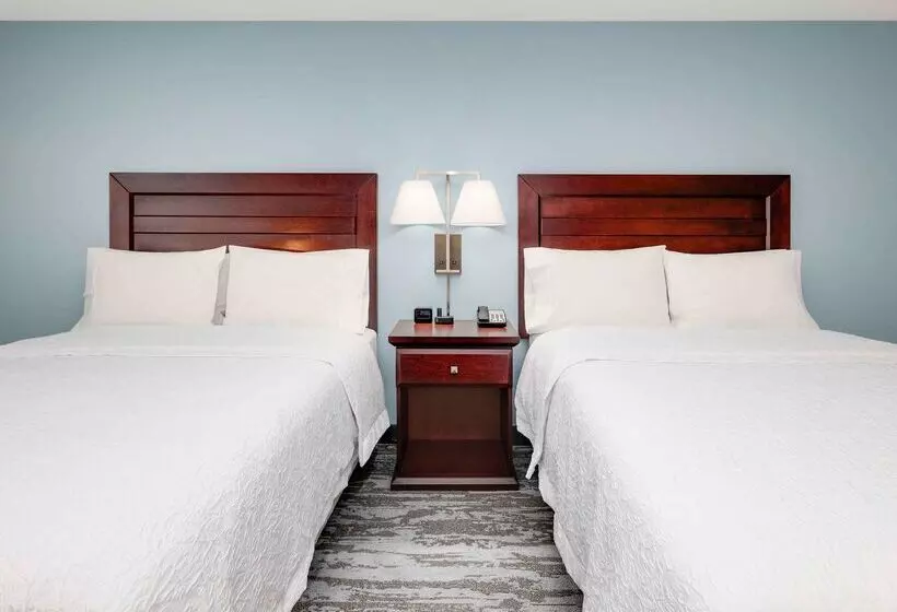 호텔 Hampton Inn & Suites Dallasarlingtonsouth