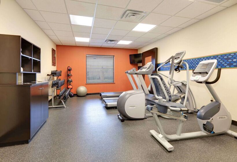 فندق Hampton Inn & Suites Dallasarlingtonsouth