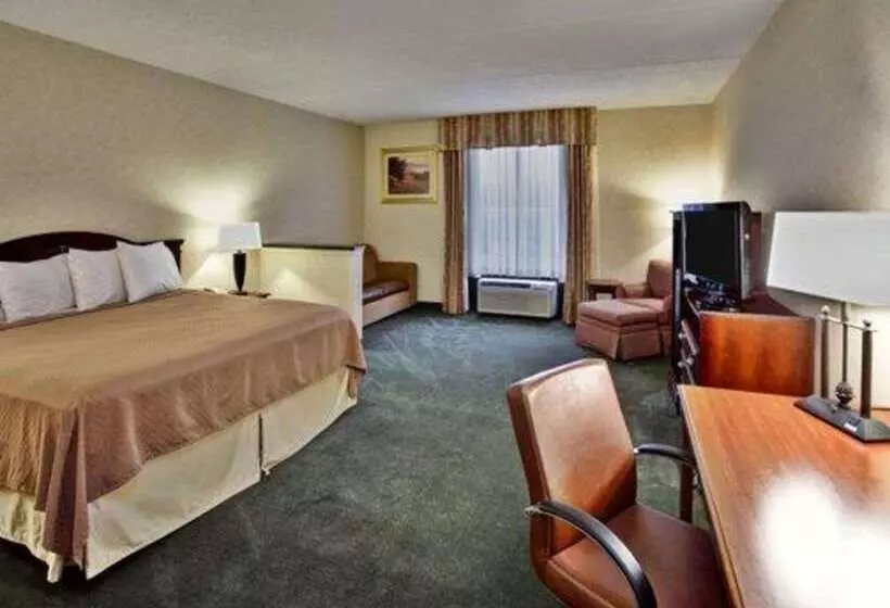Otel Quality Inn & Suites