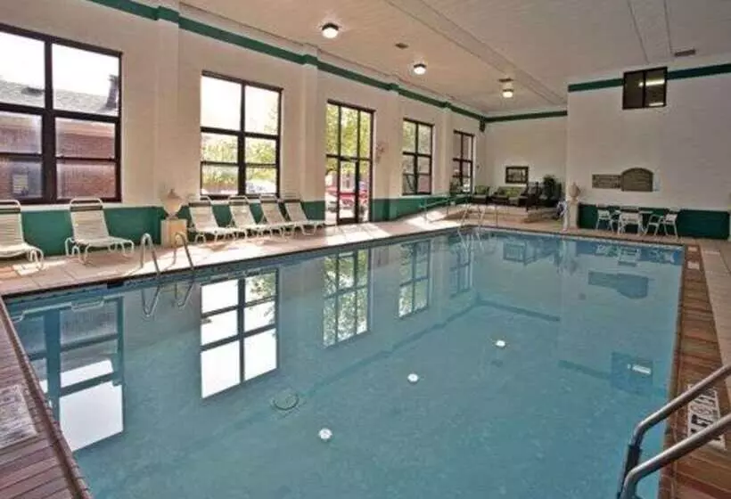 Otel Quality Inn & Suites