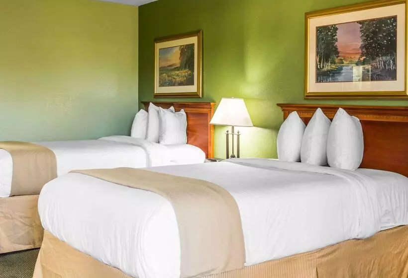 Hotell Quality Inn & Suites