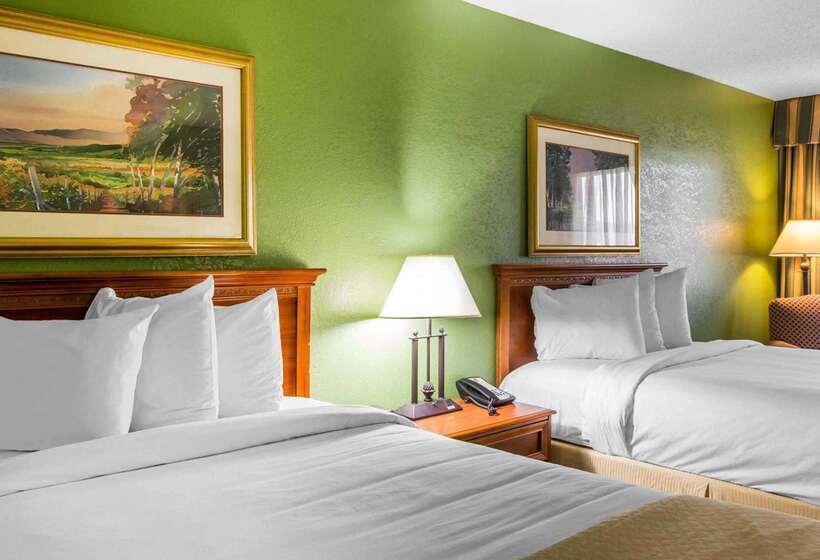 فندق Quality Inn & Suites