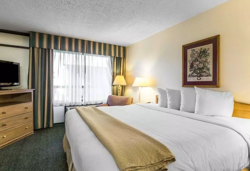 Hotell Quality Inn & Suites