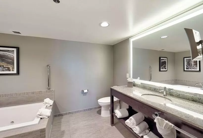 Doubletree By Hilton Hotel Bloomington