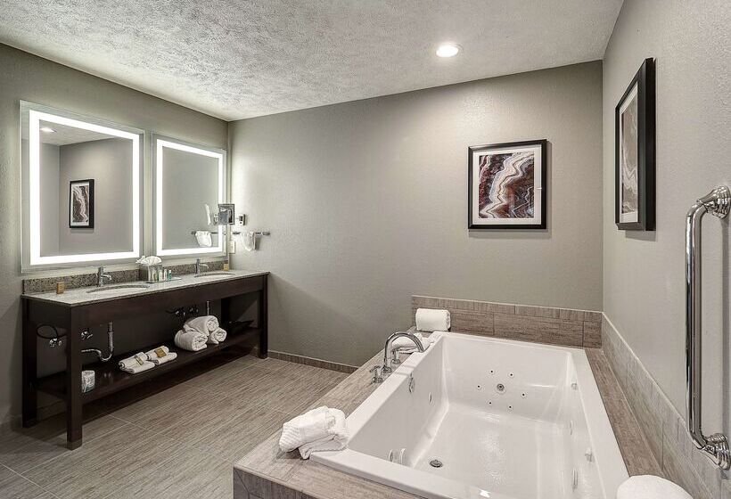 Doubletree By Hilton Hotel Bloomington