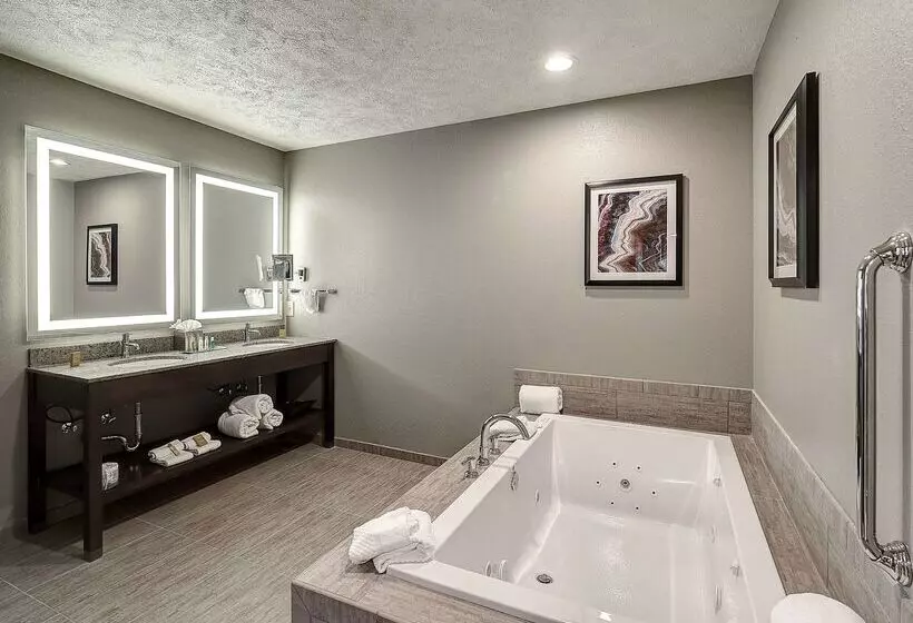 Doubletree By Hilton Hotel Bloomington